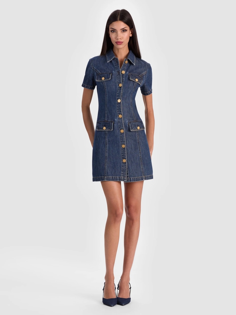 Alice and Olivia Jamie Dress